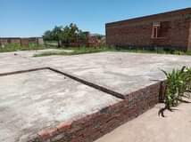 stands
