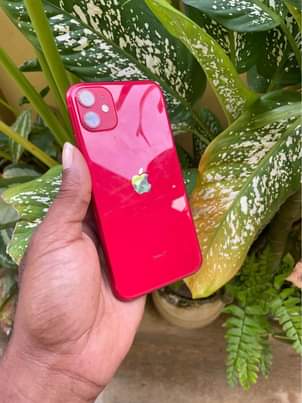 iPhone M.