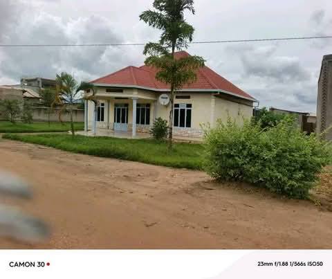 houses for rent