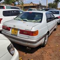 A picture of PREMIO 1998 15 5M