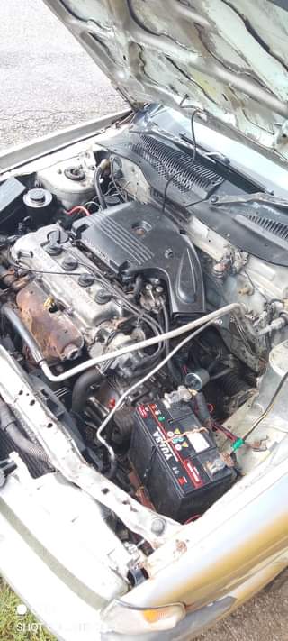 Cars F.