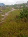 A picture of Icho kiwanja kipo chamazi kinauzwa milioni 7 kinaukubwa wa mita
