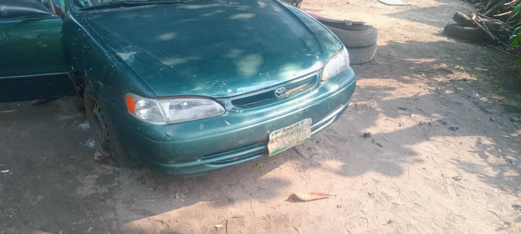 A picture of Corolla okerejuowoelo