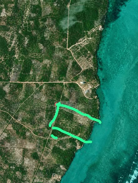 A picture of Plot forsale at makunduchi