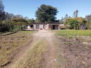 house rent