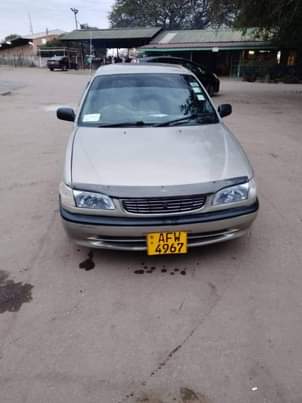 used toyota corolla