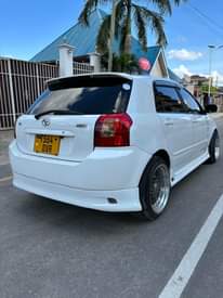 A picture of Runex for sale