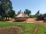 A picture of 7 Acres on sale with fertile soils flat access to