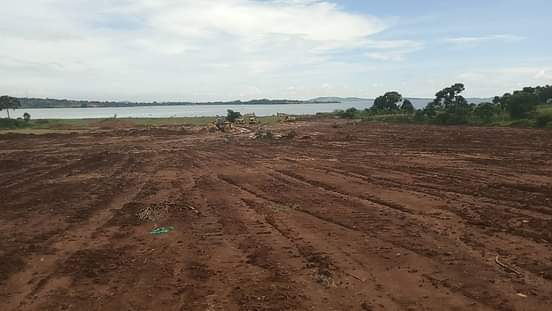 houses entebbe