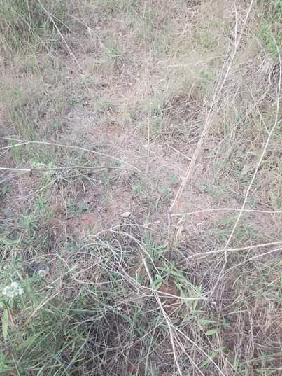 A picture of SHAMBA HEKA 5 LINAUZWA LIPO KARIBU NA UMEME NA LIPO