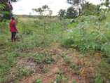 A picture of KIWANHA 40 KWA 40MITA KIPO BARABARA KUU YA MLANDIZI MZENGA