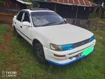 Kevoh M.