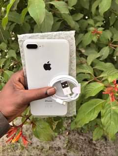 A picture of iPhone 8 gb 64