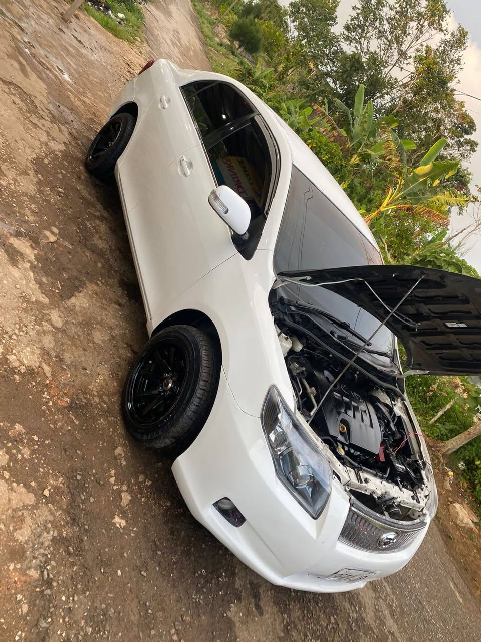 cars