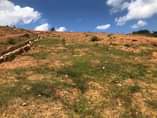A picture of Kitende Nsangu plots