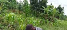 A picture of Land for sale 50x100 with a title