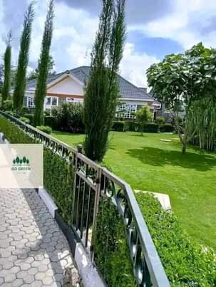 landscaping