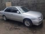 A picture of Carina bei 3 5m 0655666330