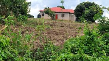 A picture of 0l709106274 0774591471l NAMAYUMBA KING MIClHOAL ESTATE 50X100FT 6MILLION
