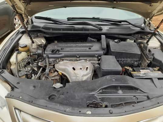 A picture of Muscle 08