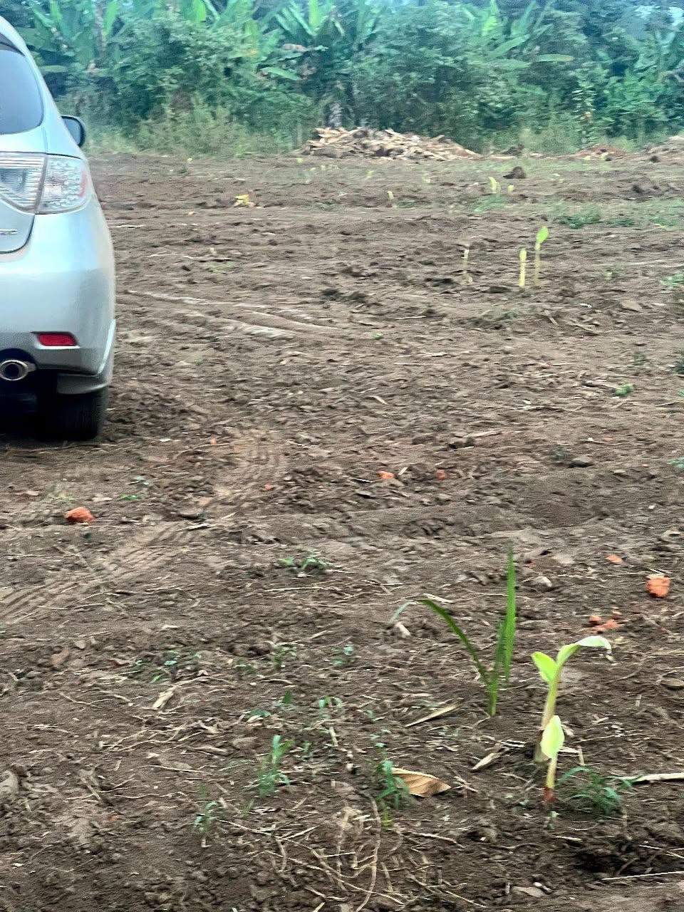 A picture of Titled plots for sale