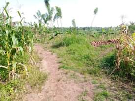 A picture of PLOT 40 100FT FOR SALE