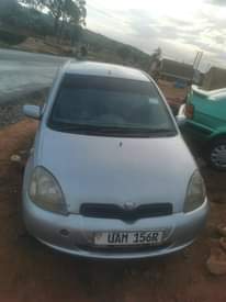 A picture of Vitz