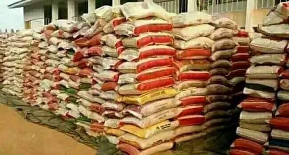 A picture of Rice