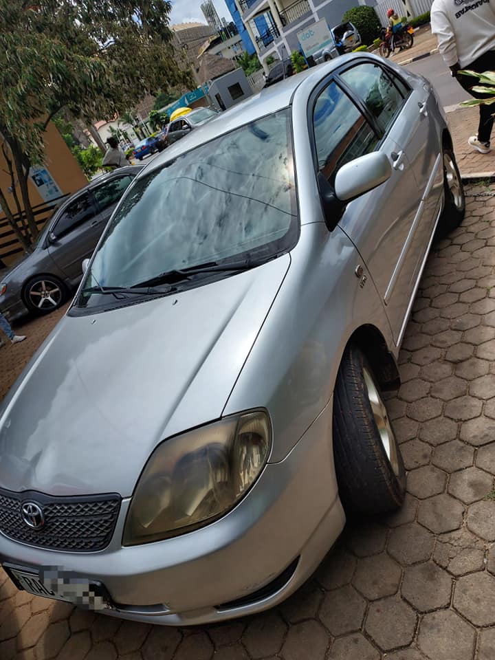 cars