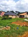 A picture of 50ft by 100ft Plot For Sale at Gayaza Kumunaana at