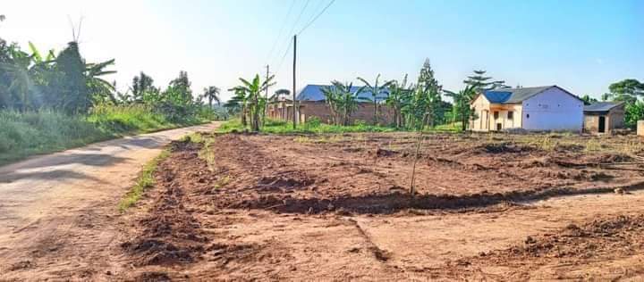 Gavamukulya T.