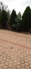 A picture of House for rent kagugu near road 0781680881 rent 200k