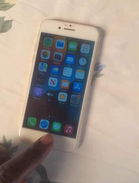 iphone 7