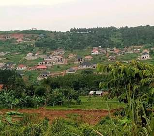 A picture of Land for sale.