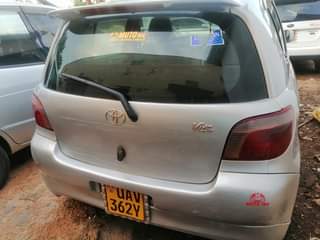 A picture of Vitz