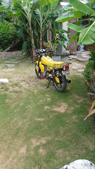 250cc bikes