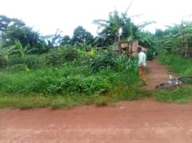 A picture of 30ft X 72ft Residential Plot available on Sale at MUKONO
