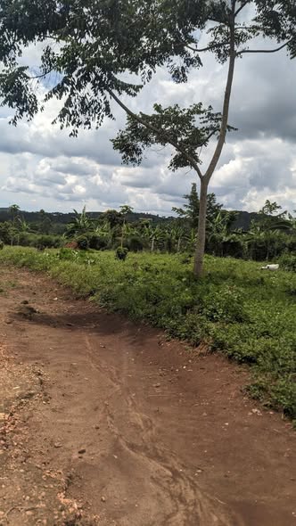 A picture of Plots of land for sale