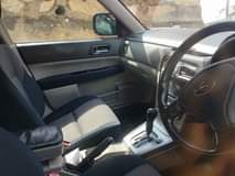 A picture of Forester
