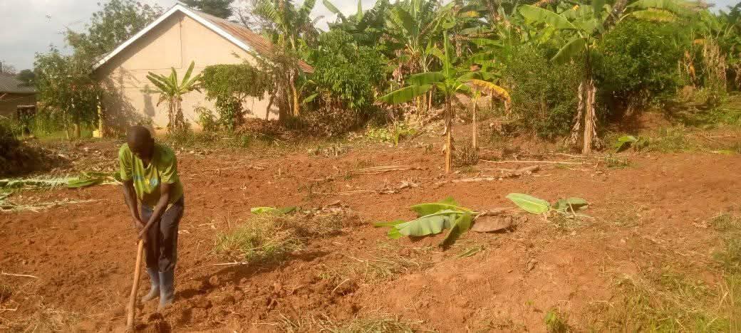 A picture of Plots at kikandwa kakiri