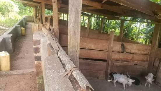 A picture of FARM HOUSE ON SALE SEATING ON 2 5 ACRES WITH