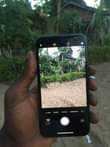 A picture of iPhone X
