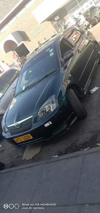 classifieds recent import