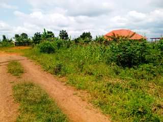A picture of Urgent money is needed urgently tomorrow or next day. Plot