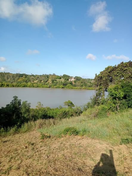 A picture of Lands for sell