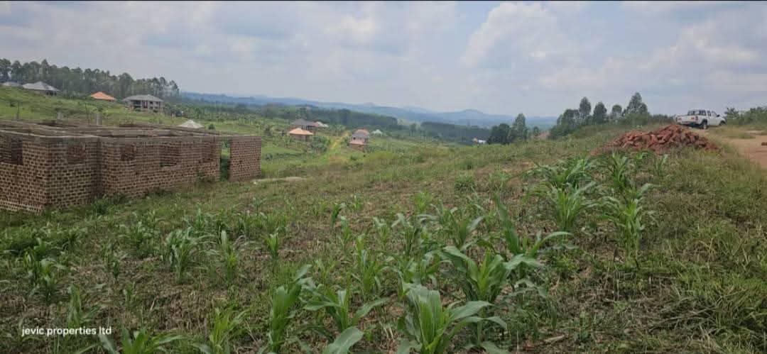 A picture of Cheaper plots
