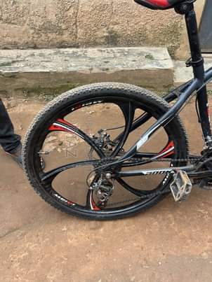 A picture of Mountain BIKE