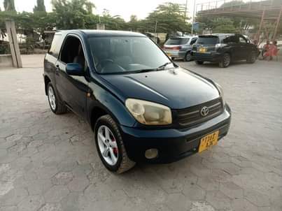 A picture of Rav4