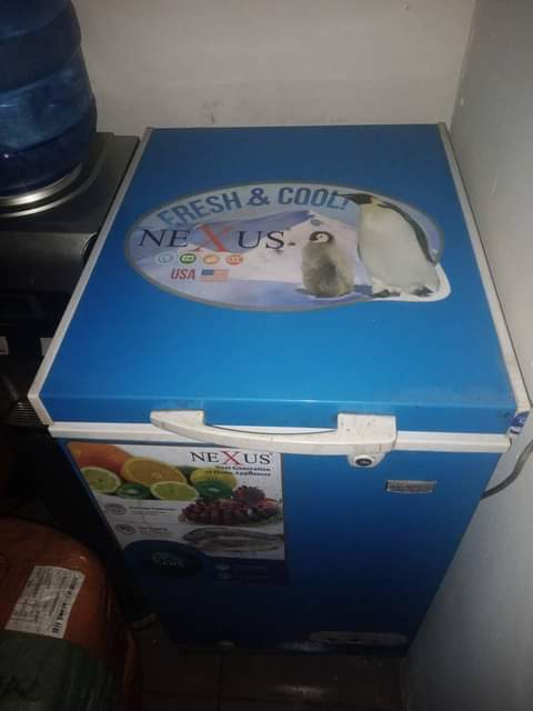 A picture of House items
