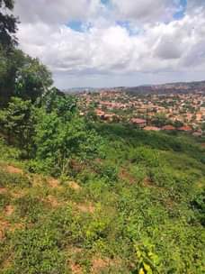 A picture of Land